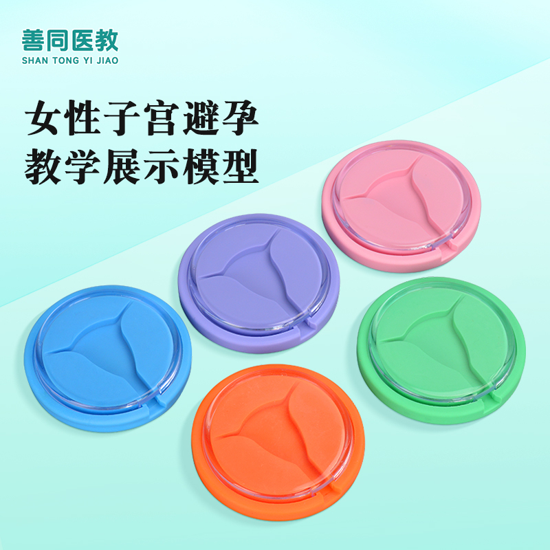 Simple Uterine Model Intrauterine Contraceptive Device Vaginal Contraceptive Ring Placement Teaching Practice Reproductive Contraception Display Device