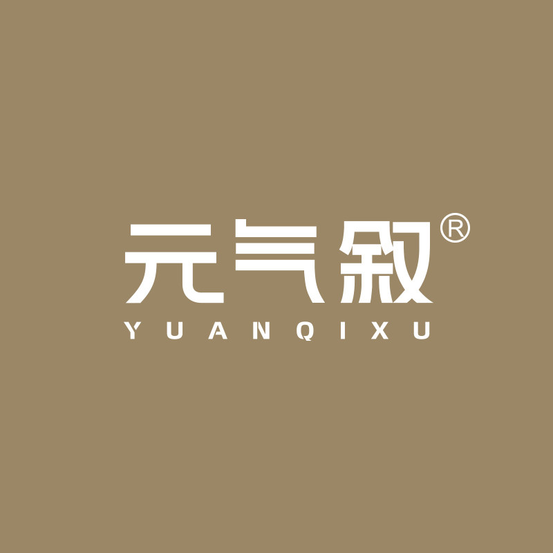 元气叙旗舰店