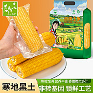 辰旭稼禾！东北黄糯玉米250g*8支