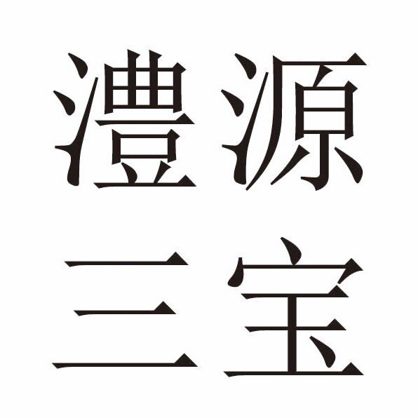 澧源三宝旗舰店的LOGO