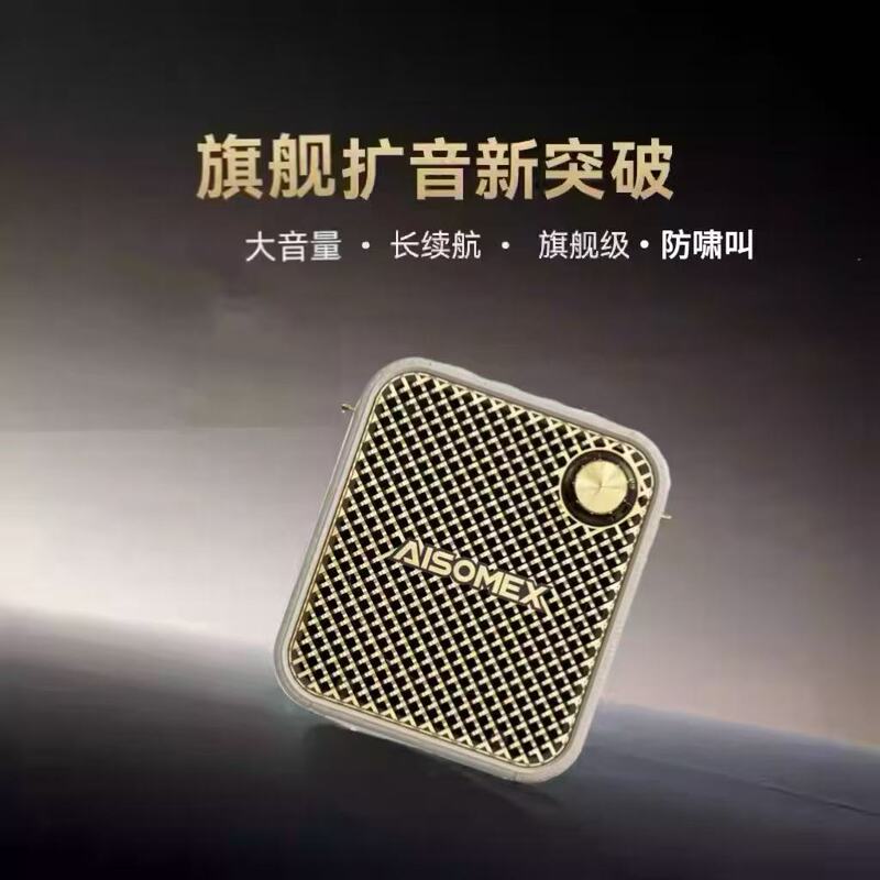 Wireless Microphone Amplifier for Teachers, Small Bee Speaker for Classes, Headset with Super Loud Volume
