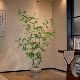 Bamboo Tree Trunk Simulation Artificial Green Plant Large Floor-Standing Potted Plant Song Dynasty Aesthetics Soft Decoration Zen Style Chinese Tea Room Decoration