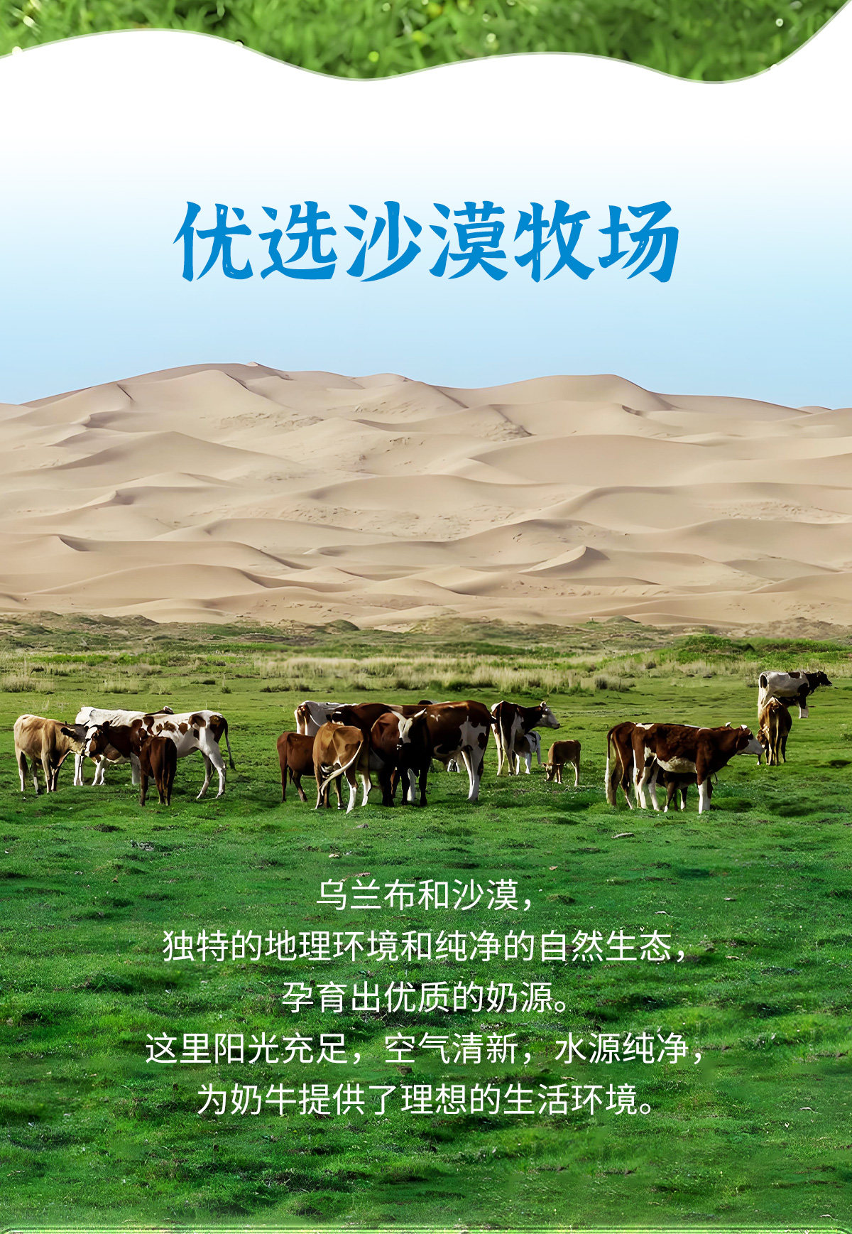 安享好物 安享B级纯奶-小牧日记A2纯牛奶 国标 