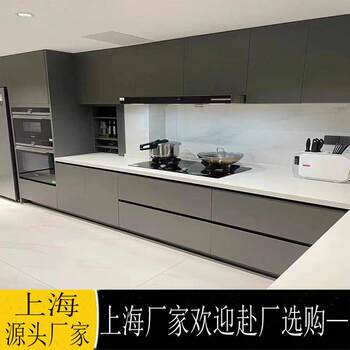 Kitchen integrated cabinets, whole house furniture customization, shanghai cabinet door panels, custom stove cabinets, quartz stone countertops