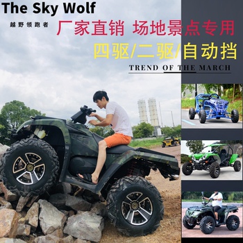 Four-wheel adult kart atv mountain