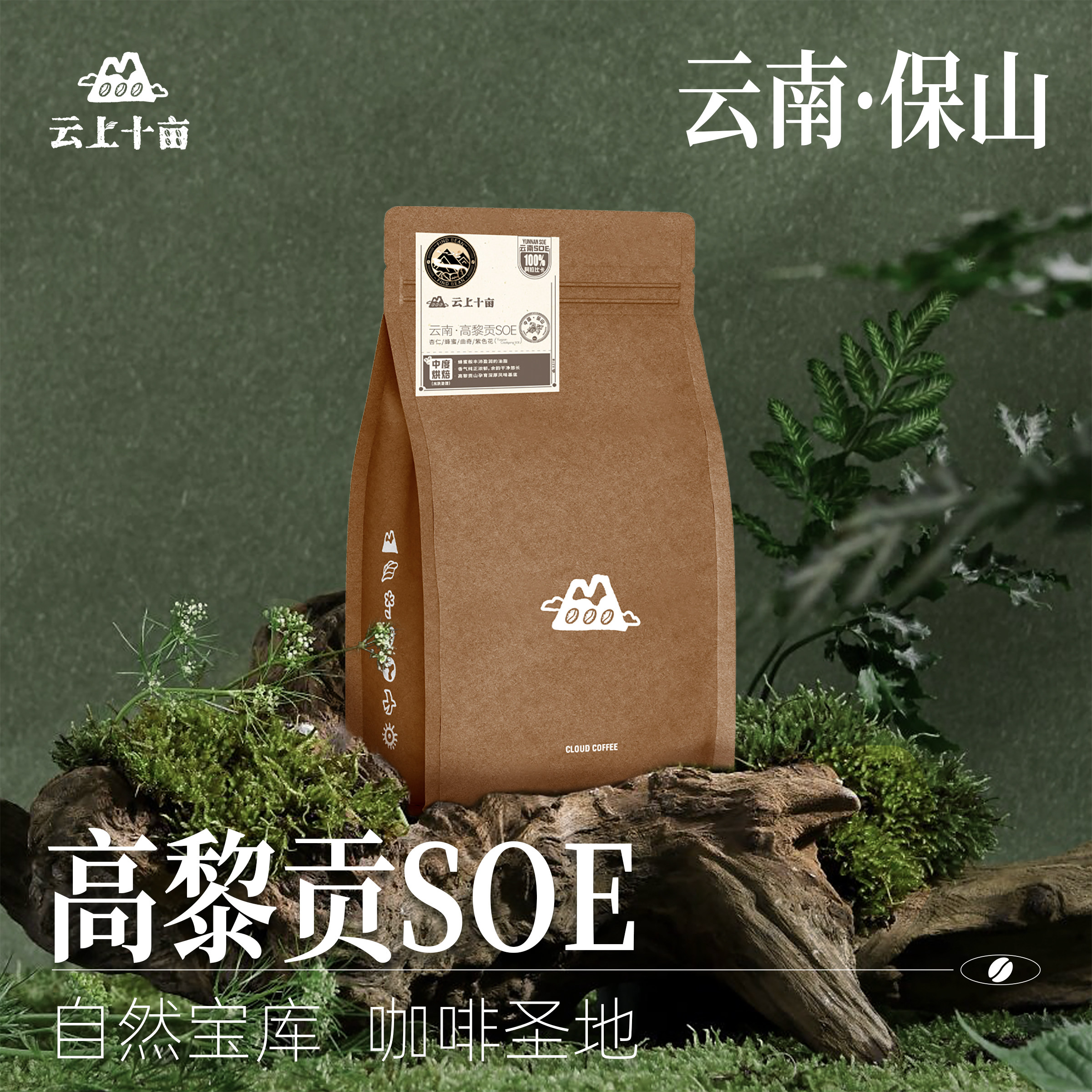 雲南宝山高黎貢山プレミアムハンドドリップコーヒー豆、焙煎したて、挽きたて、227g