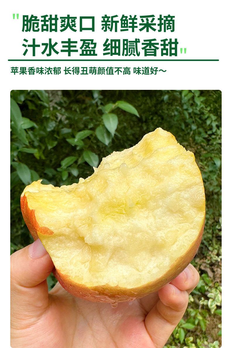 Яблоки Red Fuji Ugly Apple 1.36 кг