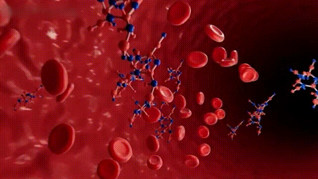 20260126_095351_012.gif