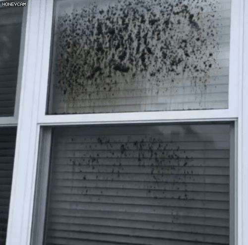 20260617_141102_068.gif