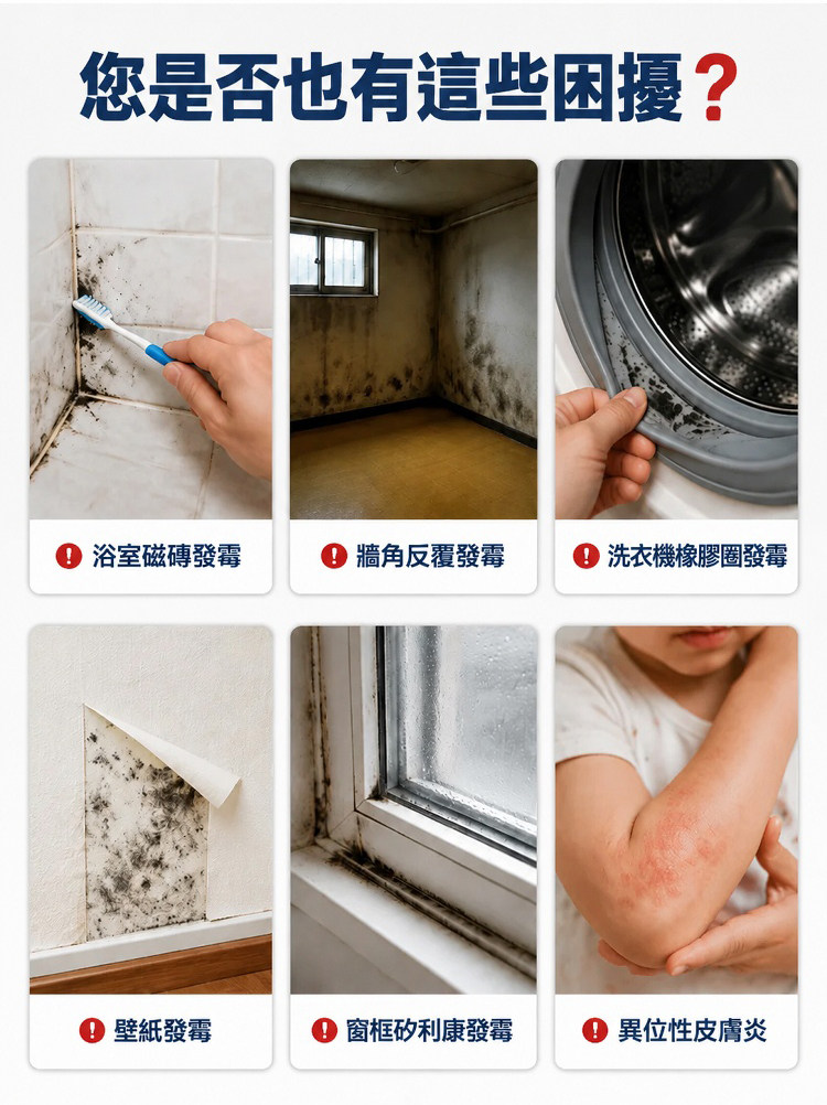 详情15.jpg