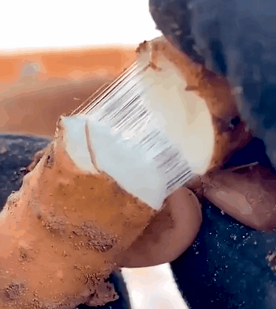 DM_20260526151630_020.gif