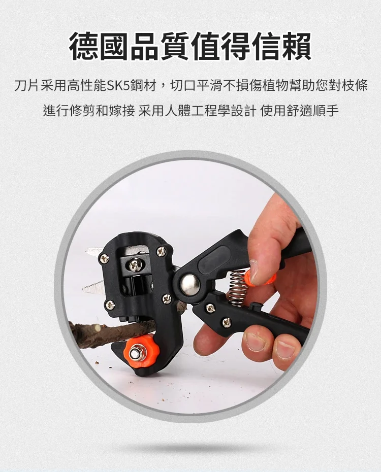 07.webp