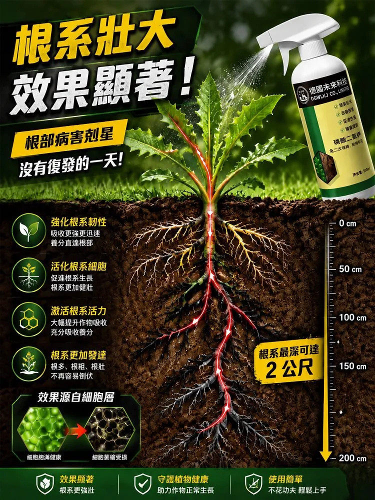 详情10.jpg