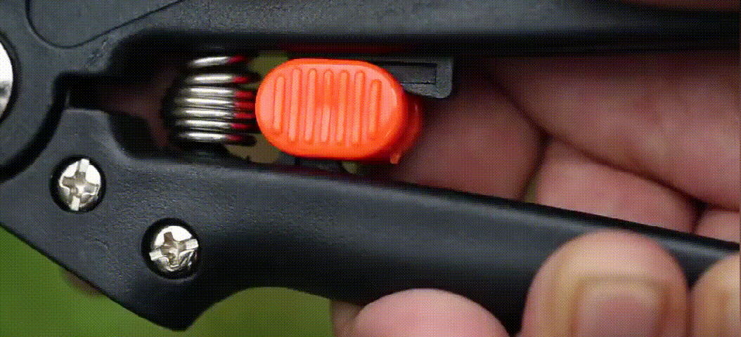 11.gif