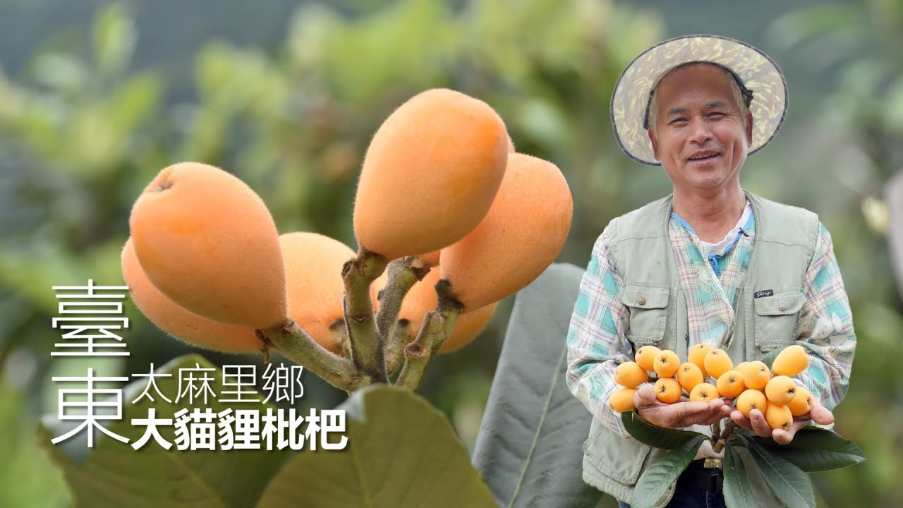 01.png