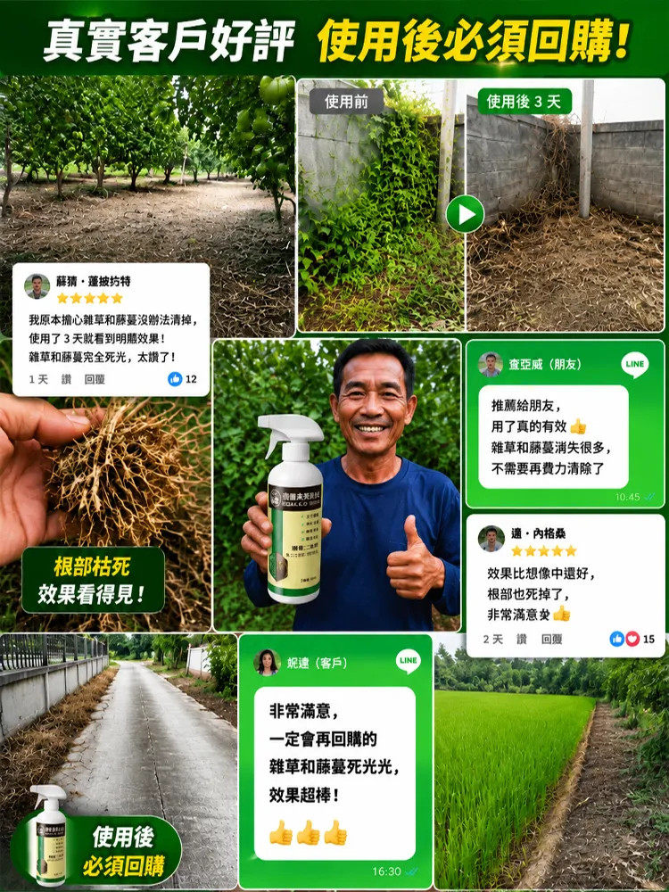 详情02.jpg