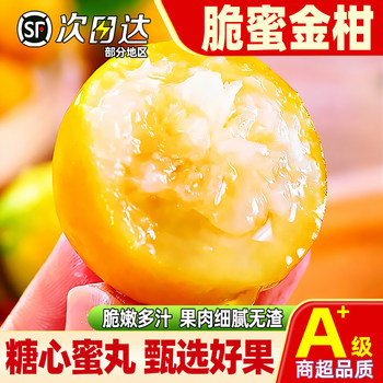 Rongan crisp honey kumquat third generation crisp honey kumquat