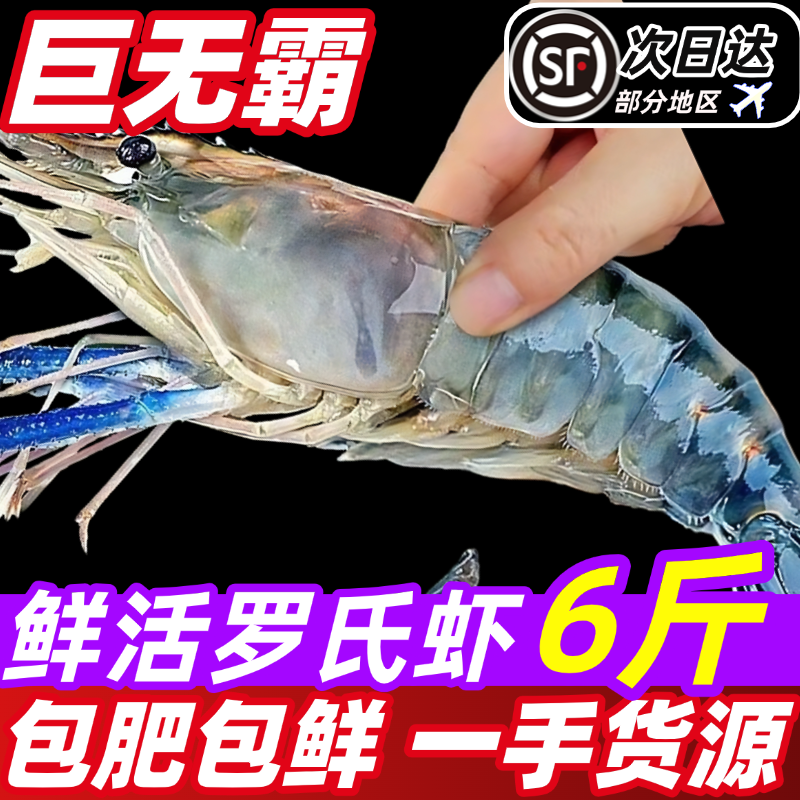 Raw shrimp, fresh extra-large macrobrachium, fresh big head shrimp, money shrimp, quick-frozen base shrimp, freshwater shrimp