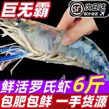 Raw shrimp, fresh extra-large macrobrachium, fresh big head shrimp, money shrimp, quick-frozen base shrimp, freshwater shrimp