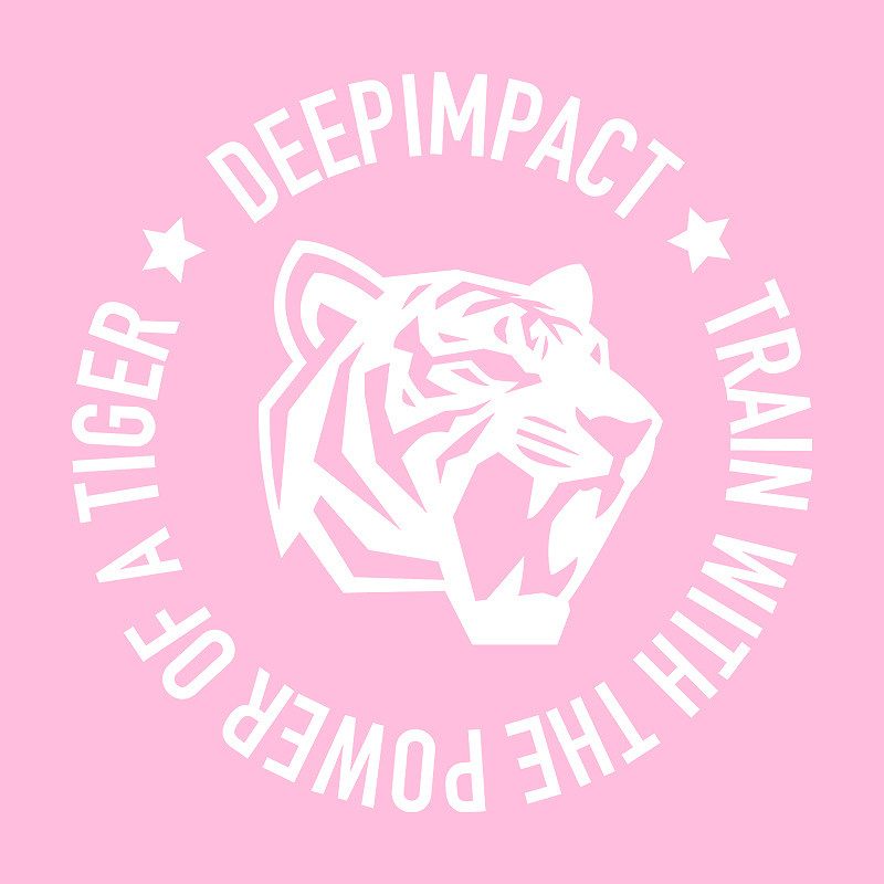 DEEPIMPACT的LOGO