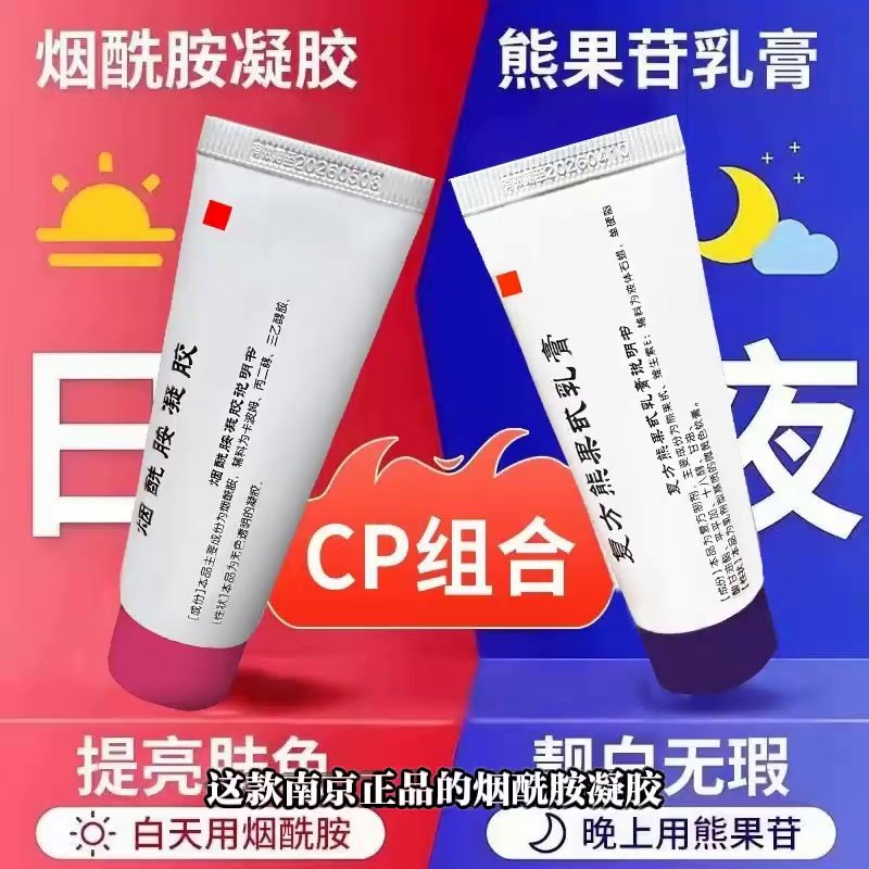 整膚論　＋　DVD12枚　整膚師用 整膚論 ＋ DVD12枚 整膚師用 Dr.12 Profession系列瑞士ABP