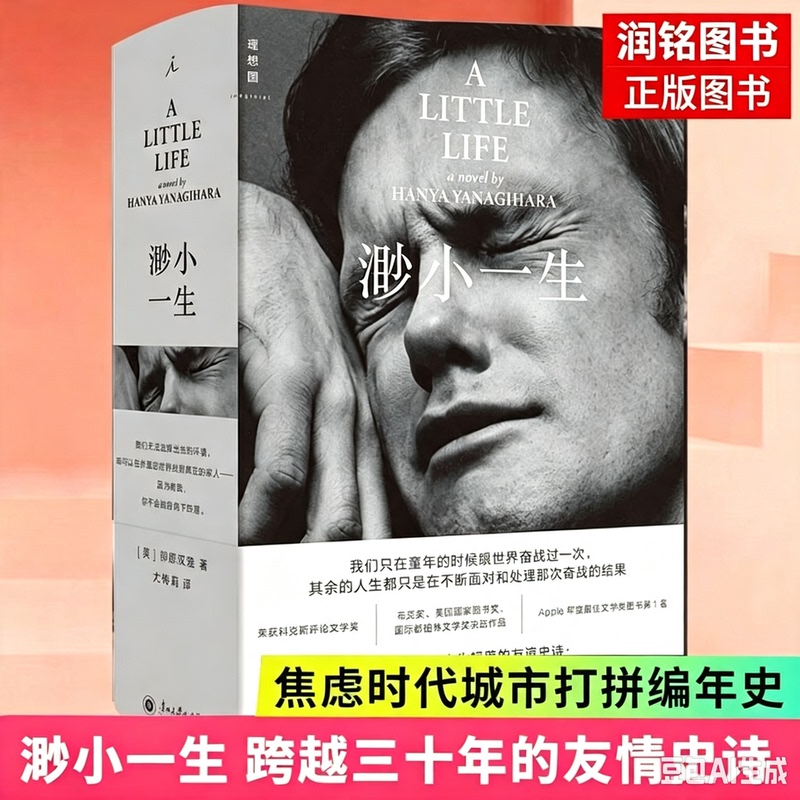 A Tiny Life by Hanja Yanagihara a Thirty-Year-Spanning Epic of Friendship a Chronicle of City Life in the Age of Anxiety Shortlisted for the Booker Prize, the National Book Award, and the International Dublin Literary Award Ideal Nation Foreign Fiction