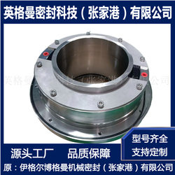 HR325/160-G11 기계식 씰 XINGFAN 525 기계식 씰 ZHANGJIAGANG BORGMAN SPOT SPOUT