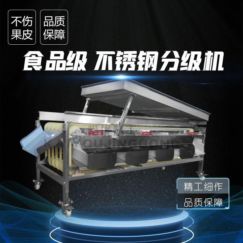 选果机大揭秘：橙子、圣女果、金桔...这些水果如何被精准分级？