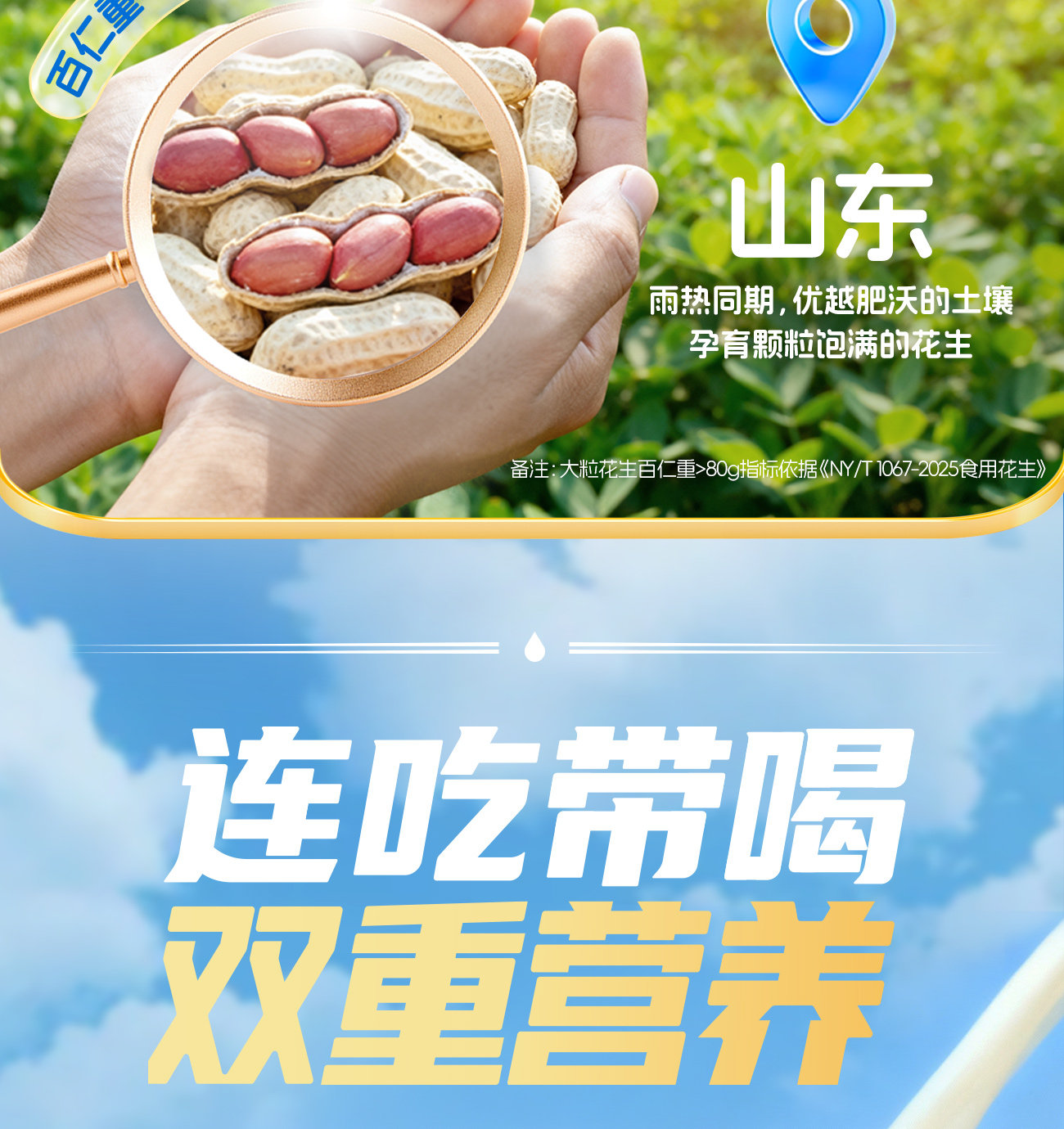 安享好物 安享D级含乳饮料-银鹭牛奶花生 企标
