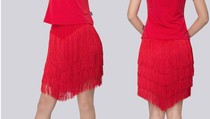 Spring and summer new womens Latin dance tassel dress Latin dance under square dance dance practice dress performance skirt