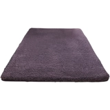 Небольшие коврики на спальне спальни, большая комната, полная сплошной шерсти, передние колодки перед землей, длинная полоса сопротивления грязи