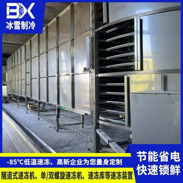 Guangdong ice and snow single and double spiral quick freezer lock fresh freezer device fresh meat spiral tower quick freezing equipment