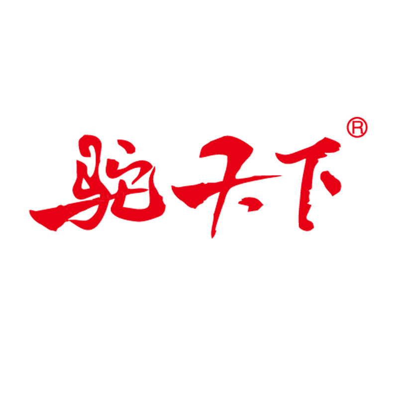 驼天下食品专营店的LOGO