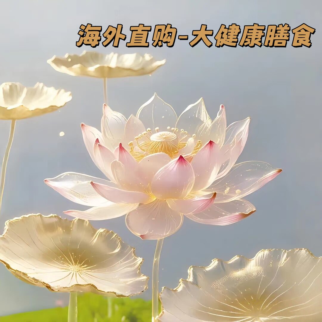 滋补膳食大健康直购的LOGO
