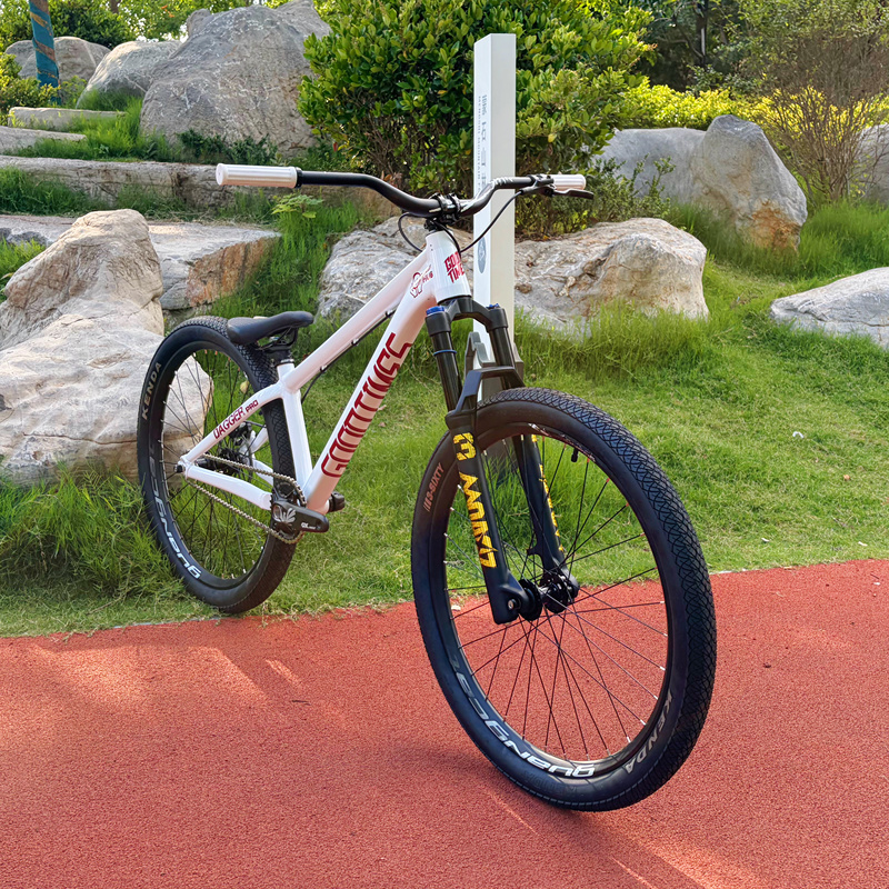 Goodtimes Pro Hill Version Dj Street Bike Professional Stunt Bike Single Speed DIY Assembly Complete Bike Goodtimes Pro Hill Version Dj Street Bike Professional Stunt Bike Single Speed DIY Assembly Complete Bike