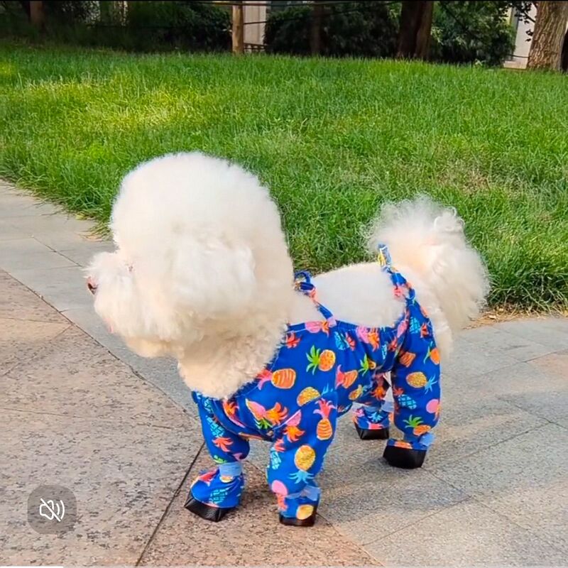 Dog Dust-Proof Leg Cover, Backless Coverall, Pet Full-Body Four-Legged Jumpsuit, Small and Medium-Sized Dog Clothing for Teddy and Bichon, Suitable for All Seasons