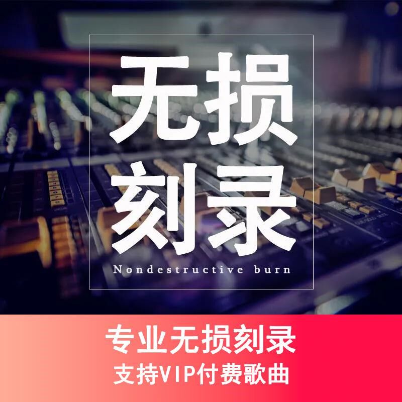 Burning data to optical discs, customizing songs of your choice to vinyl music discs