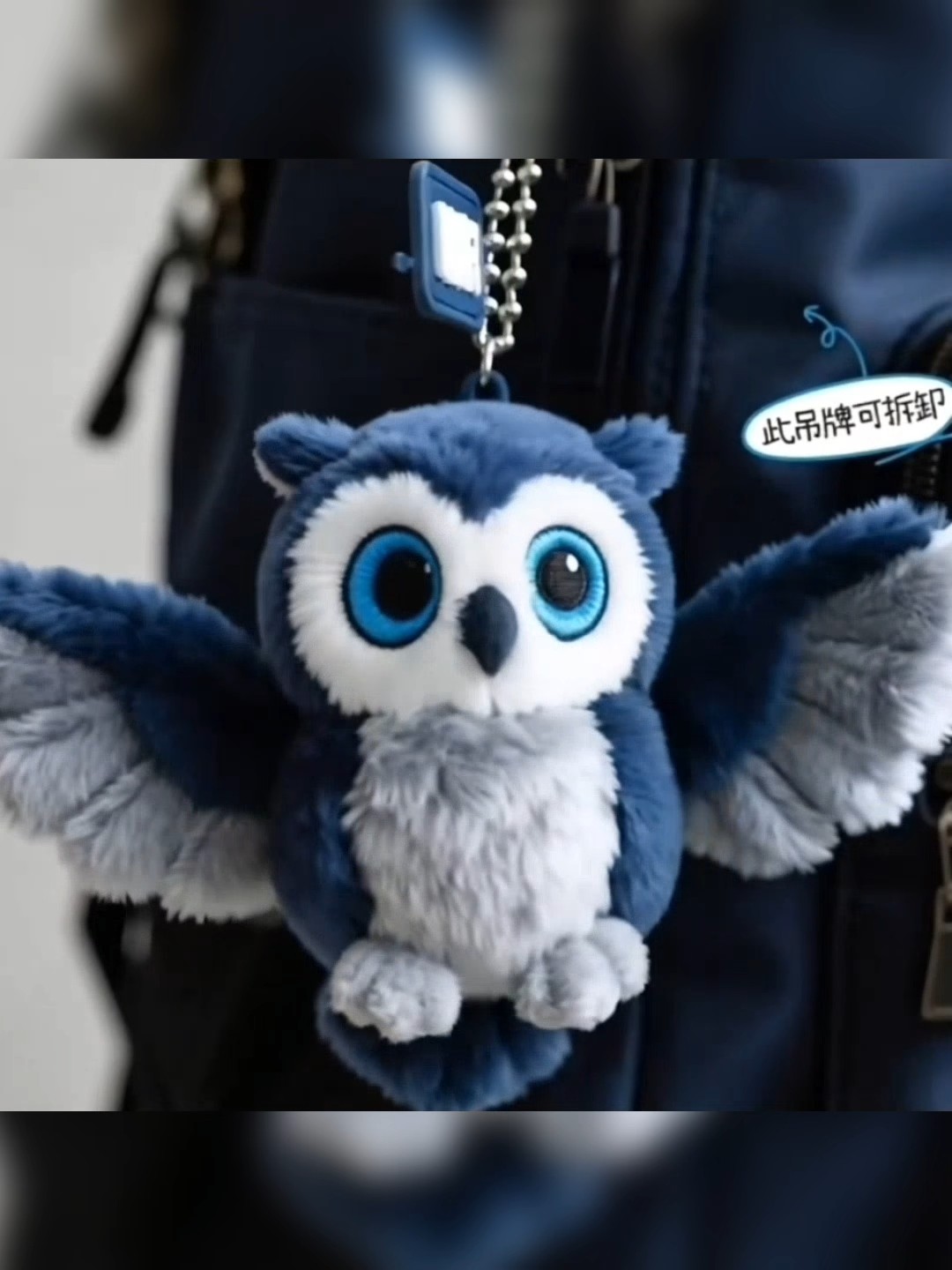 猫头鹰知识与猫头鹰信息资讯-淘宝游戏网, image size:1080x1440