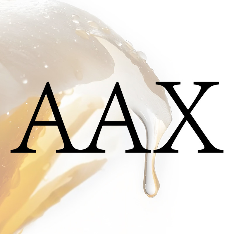 AAX旗舰店