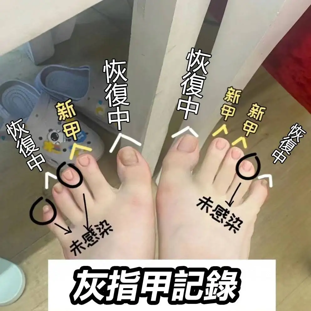 020.webp