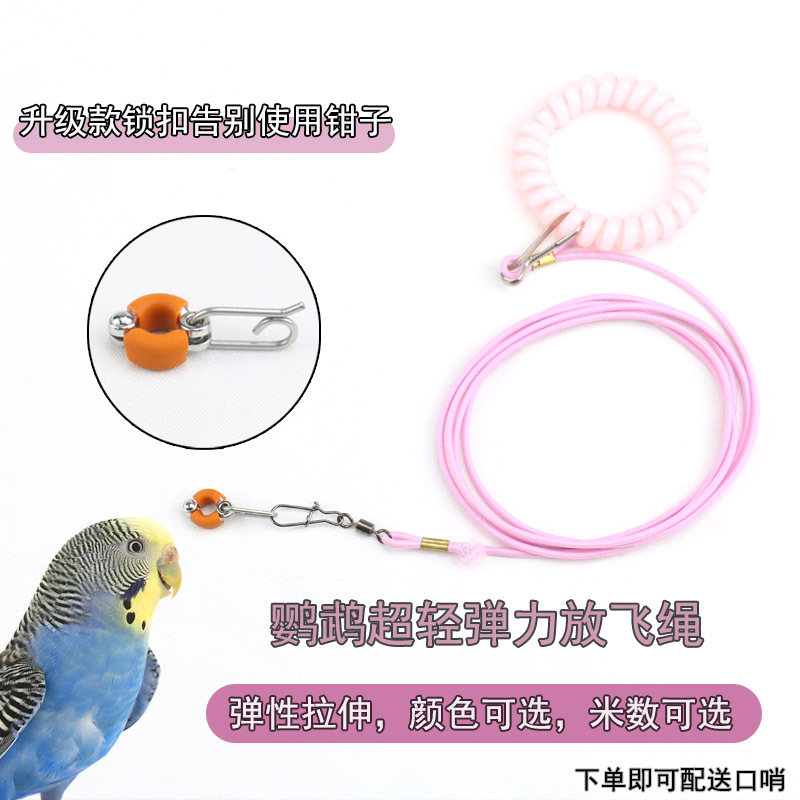 New Silicone Elastic Parrot Release Leash, Ultra-Light Training Bird Walking Rope, Foot Ring for Cockatiels, Lovebirds, and Mynas New Silicone Elastic Parrot Release Leash, Ultra-Light Training Bird Walking Rope, Foot Ring for Cockatiels, Lovebirds, and Mynas