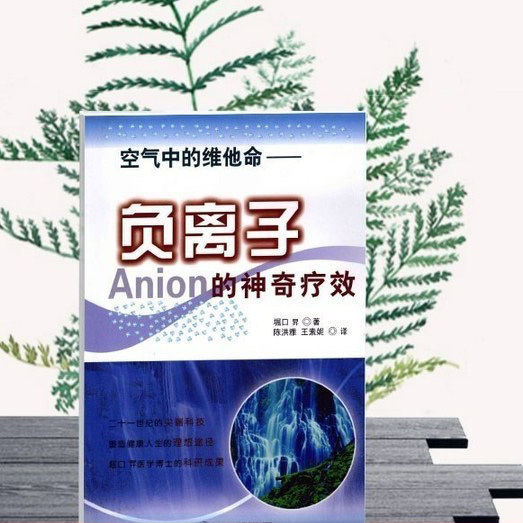 The Miraculous Healing Effects of Negative Ions Vitamins in the Air by Hirokuchi Shogo 2009 16 Pages
