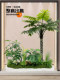 Simulated Green Plants for Window Decoration, Fake Plant Landscaping, Arrangement under Stairs, Entrance Hall, Indoor Atmosphere Tree