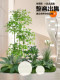 Simulated green plant landscaping combination window decoration fake plant landscaping courtyard layout entrance hall indoor atmosphere tree