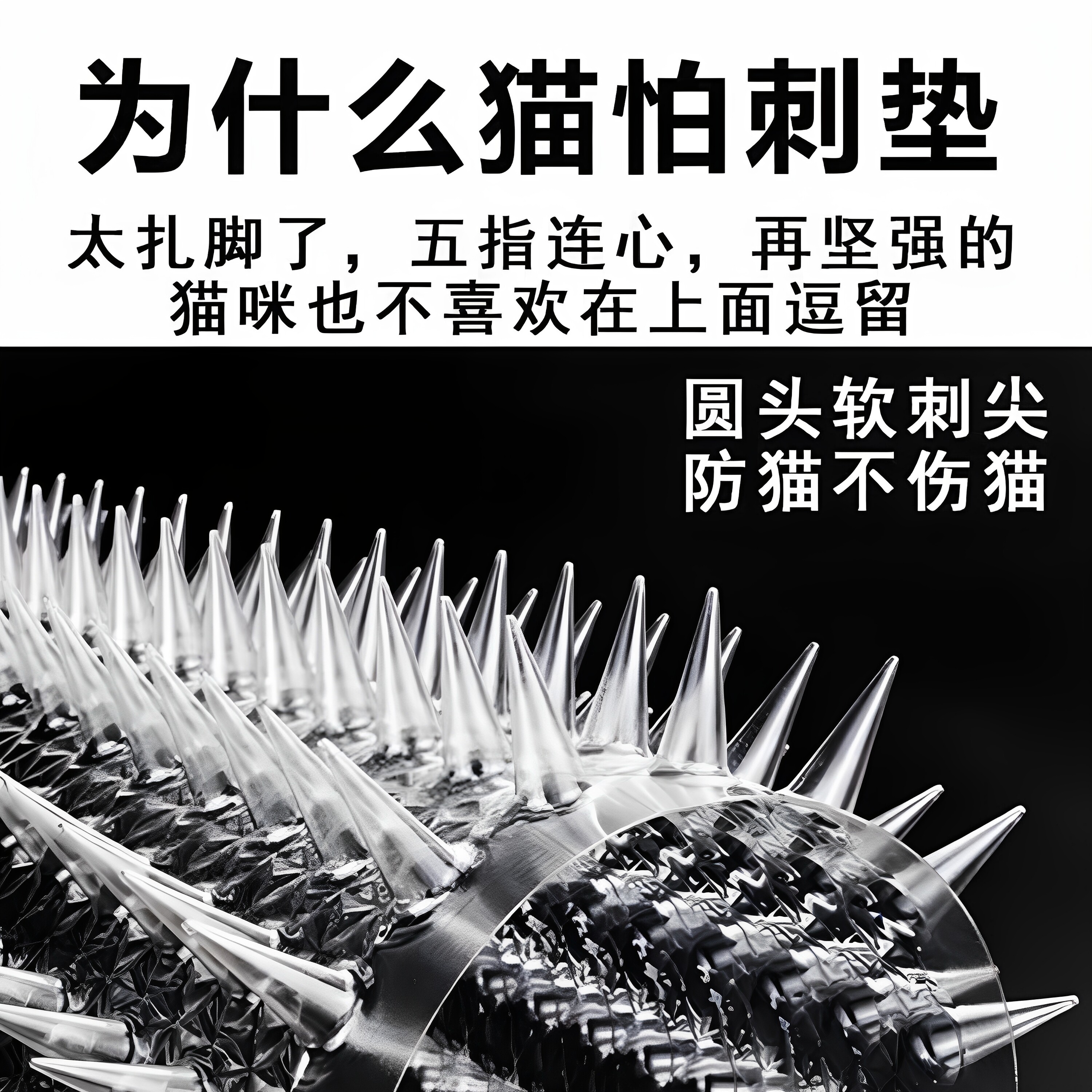 开猫品牌店需要哪些条件?新手必看指南-服装品牌-淘宝百科网