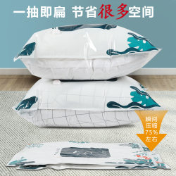 Vacuum storage compression bag sealed with pump space for clothes, quilts, blankets, bedding dustproof