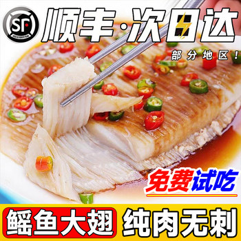 High-quality freshly cut extra large stingray fins