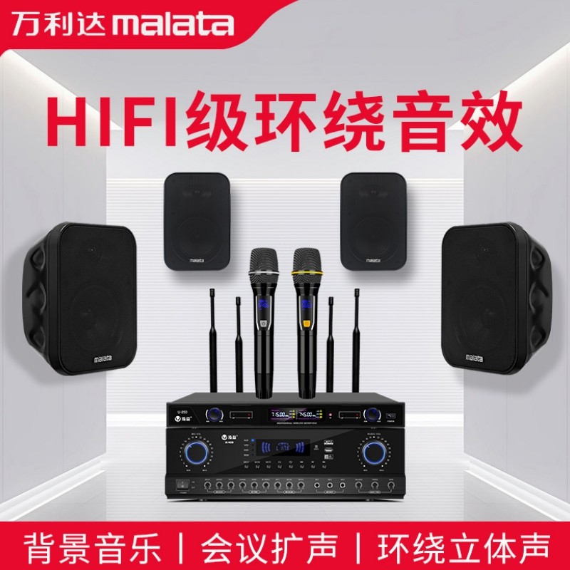 Настенный динамик Wanlida audio коммерческая танцевальная студия ресторан конференц-зал магазин, выделенный усилитель мощности, набор микрофонов Изображение 1