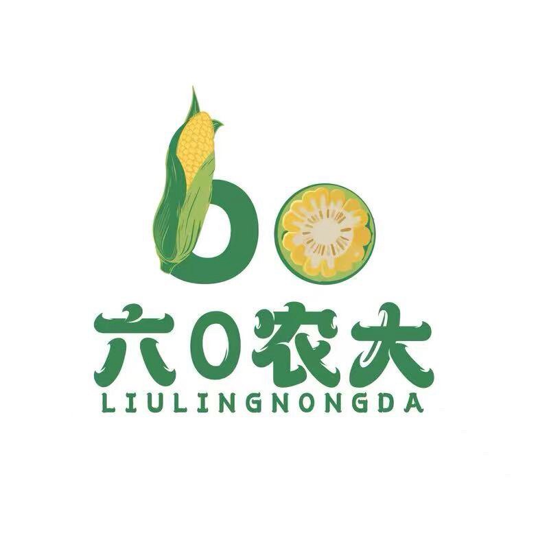 六0农大玉米的LOGO