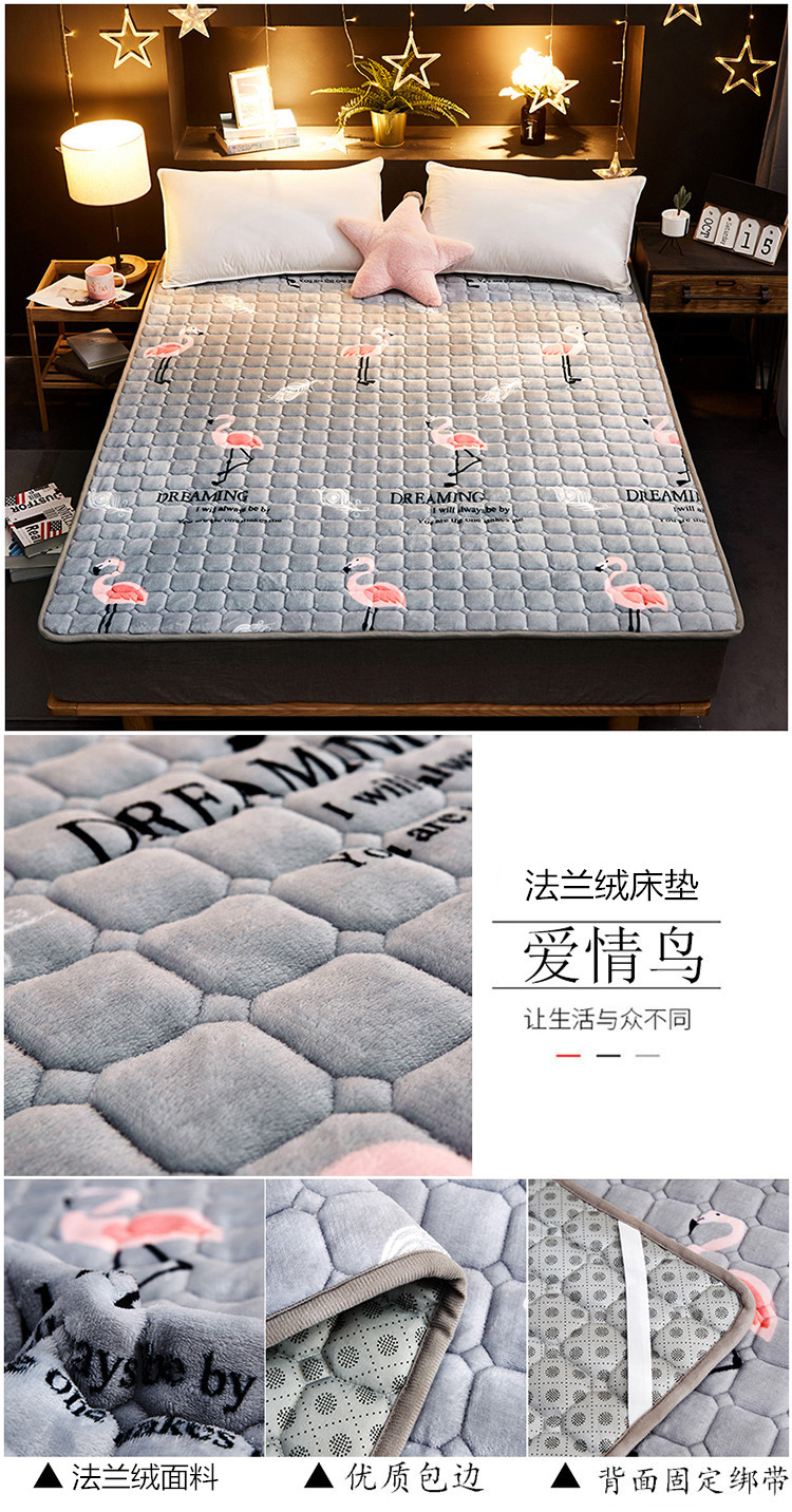 Flannel nệm tatami ấm rửa đơn hoặc kép ký túc xá 1,5m 1,8 m không trượt mat thể được tùy chỉnh - Nệm nệm foam